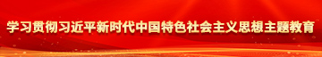 草美女色骚逼逼学习贯彻习近平新时代中国特色社会主义思想主题教育